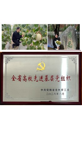 【榜样力量（一）】—— 全省高校“两优一先”表彰对象先进事迹